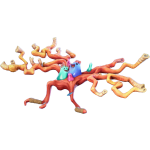 CORAL CRUISER 001 CUT BY CRAFTDANIMATION