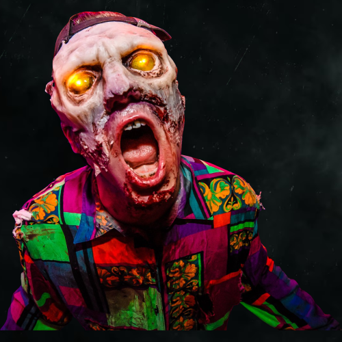 REAL LIFE ZOMBIE 001 BY CRAFTDANIMATION